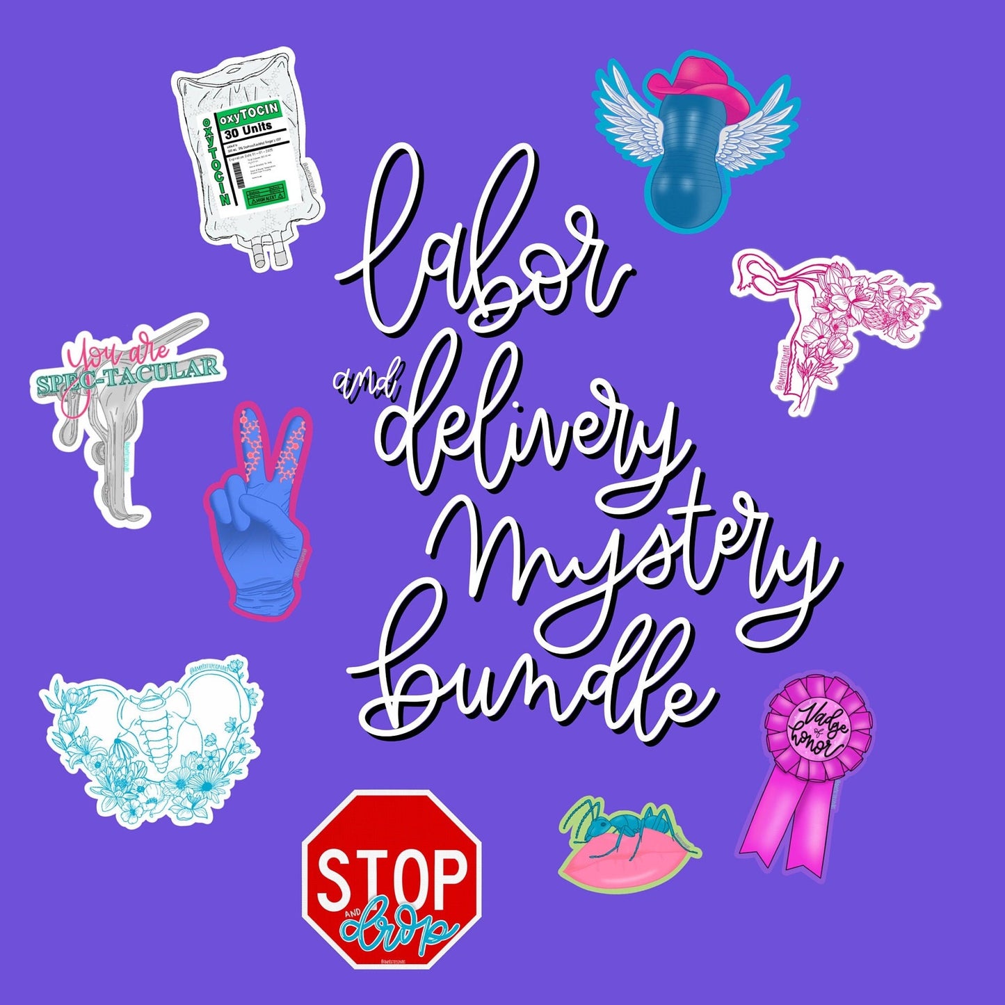 Labor & Delivery Mystery Sticker Bundle